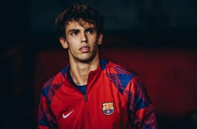 弗罗因德：奥地利重新打进世界杯意义重大；阿拉巴是个领导者